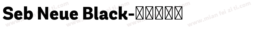 Seb Neue Black字体转换